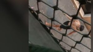 machetazos raval barcelona