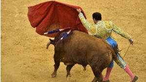 toros tauromaquia