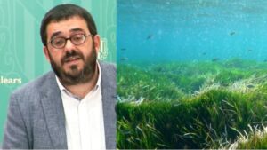 Vidal posidonia