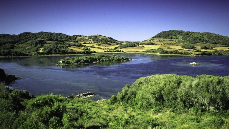 Parque natural Albufera des Grau (Maó, menorca)