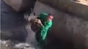 jabali maltrato animal lleida