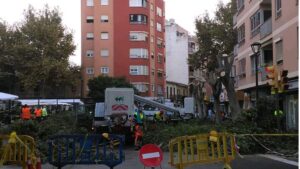 poda arboles pere garau