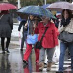 Frio y lluvia Palma