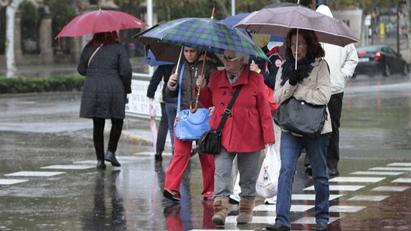 Frio y lluvia Palma