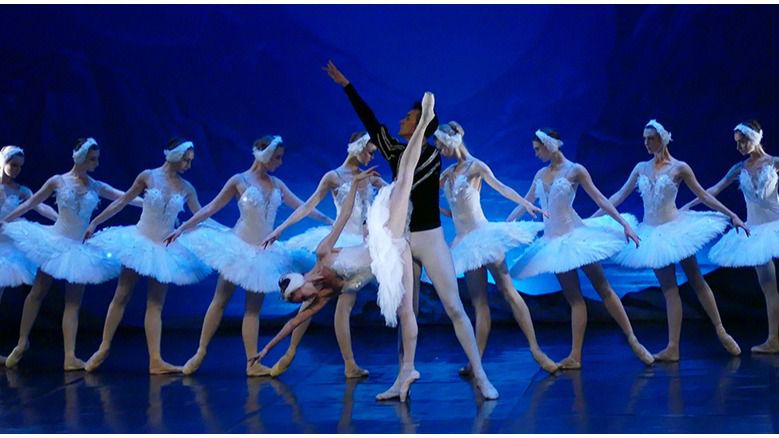 el lago de los cisnes