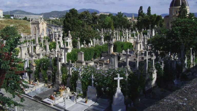 cementerio palma