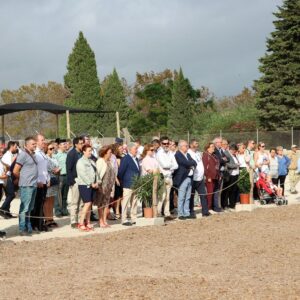 www.mallorcadiario.com_galerias-noticias_galerias_525191_IMG_5431