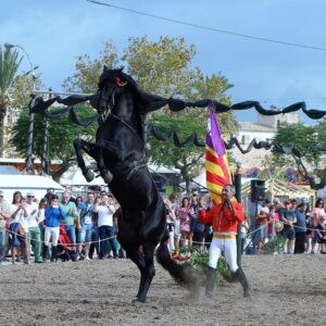 www.mallorcadiario.com_galerias-noticias_galerias_525191_IMG_5442