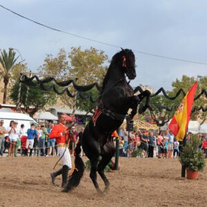 www.mallorcadiario.com_galerias-noticias_galerias_525191_IMG_5449