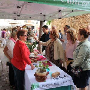 www.mallorcadiario.com_galerias-noticias_galerias_525191_IMG_5530