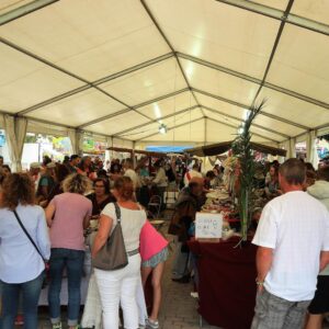 www.mallorcadiario.com_galerias-noticias_galerias_525191_IMG_5571