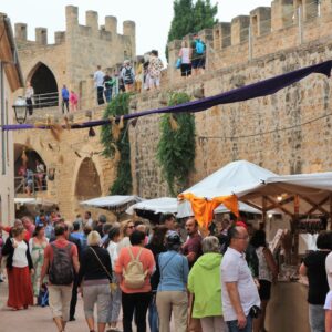 www.mallorcadiario.com_galerias-noticias_galerias_525191_IMG_5639