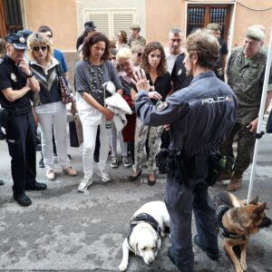 www.mallorcadiario.com_galerias-noticias_galerias_525845_DqB0HUiWoAAn6cD