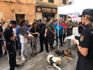 www.mallorcadiario.com_galerias-noticias_galerias_525845_DqBwhkvXQAAQeiw