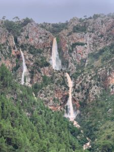 www.mallorcadiario.com_galerias-noticias_galerias_526159_Dqlt_HgWsAAMDAe