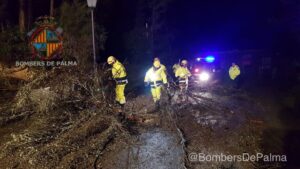 www.mallorcadiario.com_galerias-noticias_galerias_526159_incidenteslluvias_2_