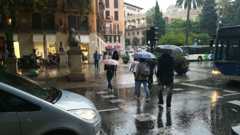 lluvia, palma
