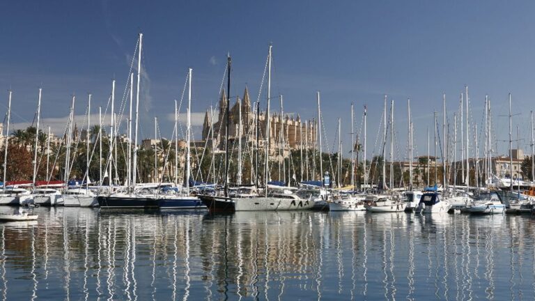 Palma barcos