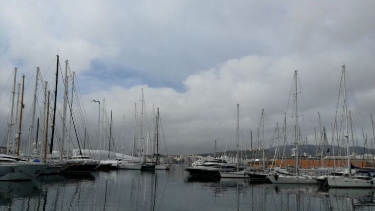 barcos yates palma