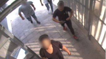 grupo jovenes, robos