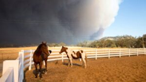 incendio norte california