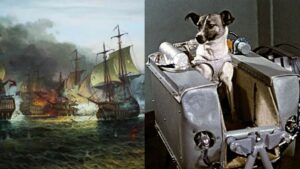 perra laika batalla naval