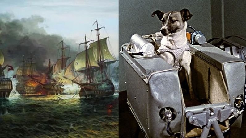 perra laika batalla naval