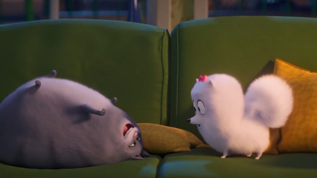 mascotas