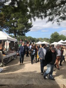 www.mallorcadiario.com_galerias-noticias_galerias_526496_IMG_6686