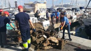 www.mallorcadiario.com_galerias-noticias_galerias_526827_1q4