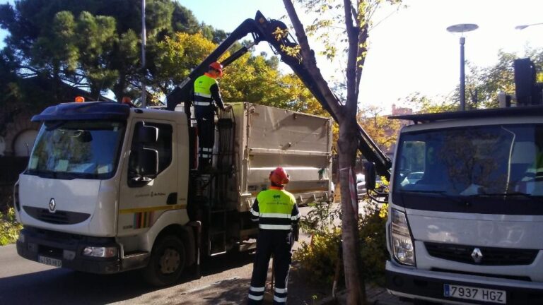 Servicio de Parques y Jardines del área de Infraestructuras del Ayuntamiento de Palma