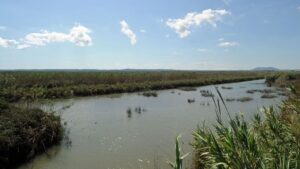El Parque Natural de la Albufera en Mallorca