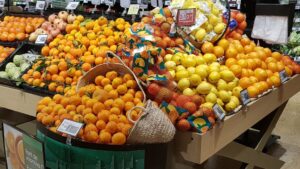 frutas citricos naranjas