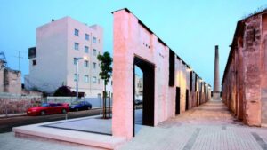 can ribes palma proyecto