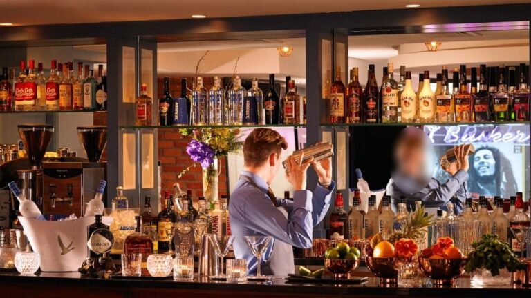 camarero barman