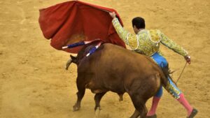 toros tauromaquia