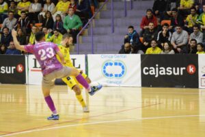 www.mallorcadiario.com_galerias-noticias_galerias_527909_JanParasoInterioryelPalmaFutsal_13_