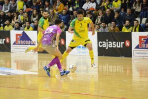 www.mallorcadiario.com_galerias-noticias_galerias_527909_JanParasoInterioryelPalmaFutsal_15_