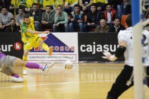 www.mallorcadiario.com_galerias-noticias_galerias_527909_JanParasoInterioryelPalmaFutsal_6_