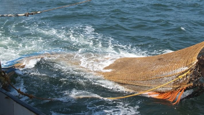 pesca de arrastre