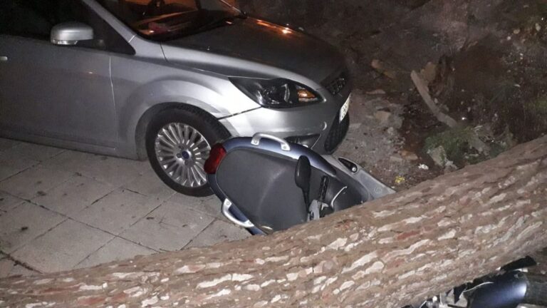 Foto: Policía Local de Sóller