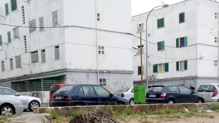 Árboles por los suelos, en Camp Redó