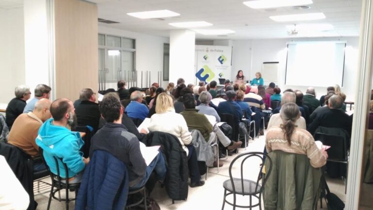 subvenciones palma cort