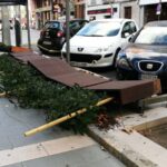 viento palma