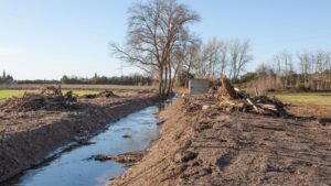 torrent de na borges