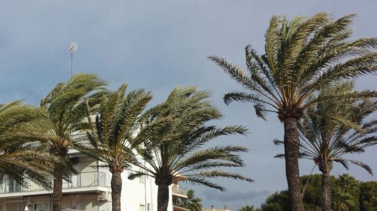 viento