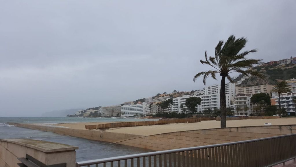 viento santa ponsa