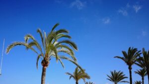 sol buen tiempo playa