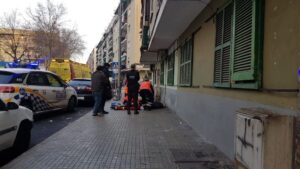 ca&iacute;da en son gotleu