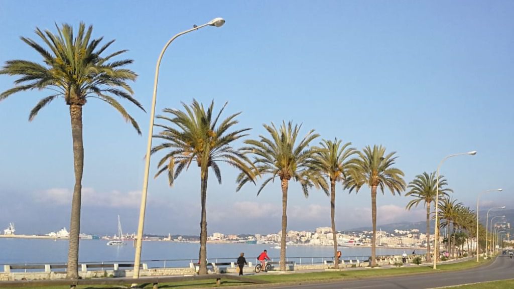 tiempo, despejado, sol, carretera, coches